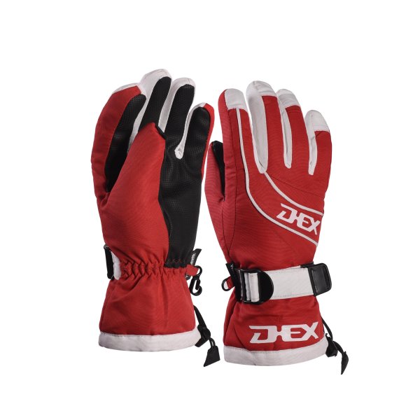 Ski Gloves DX-G66-1(图1)