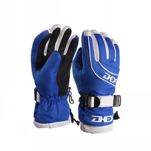 Ski Gloves DX-G66(图1)