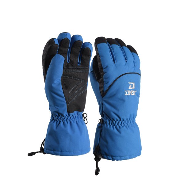 Ski Gloves DX-G67-1(图1)