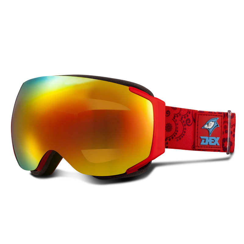 Ski Goggles YH112