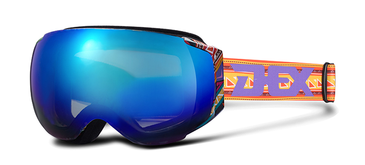 Ski Goggles YH112(图4)