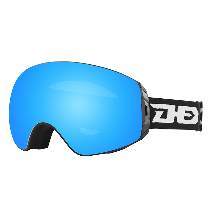 Ski Goggles YH155