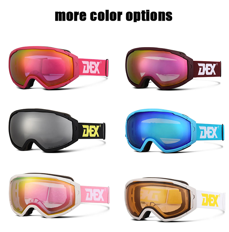 Ski Goggles YH193(图2)