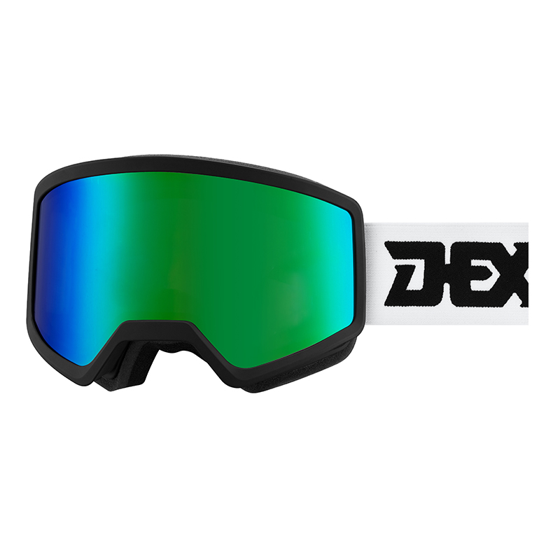 Ski Goggles YH223