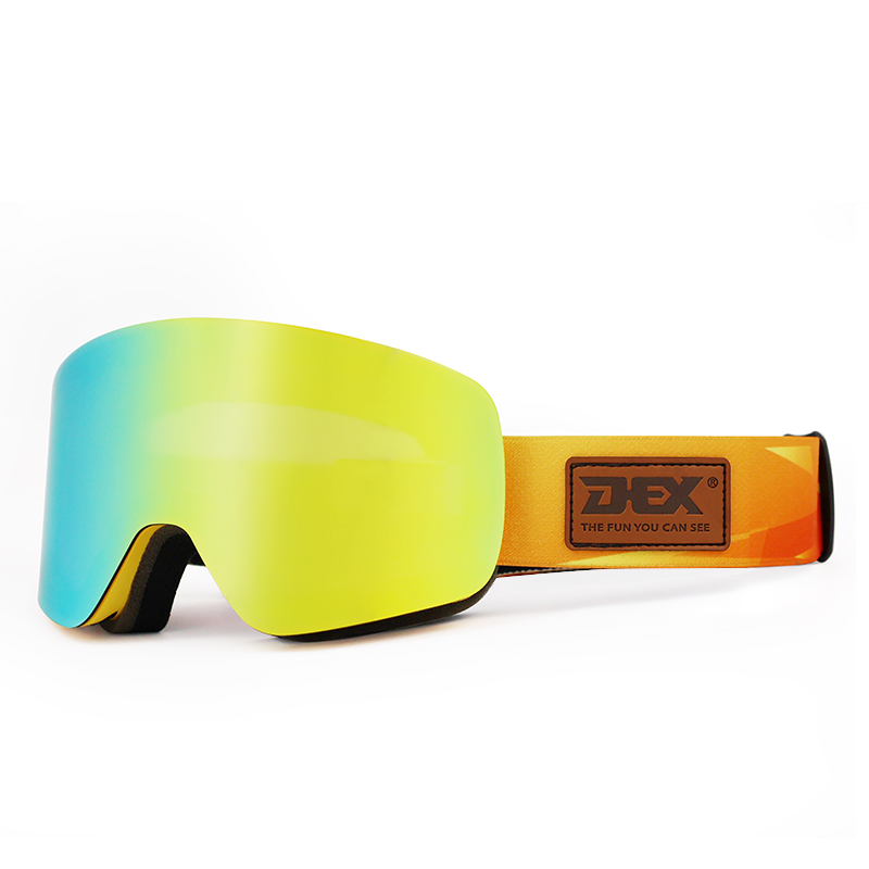 Ski Goggles YH227