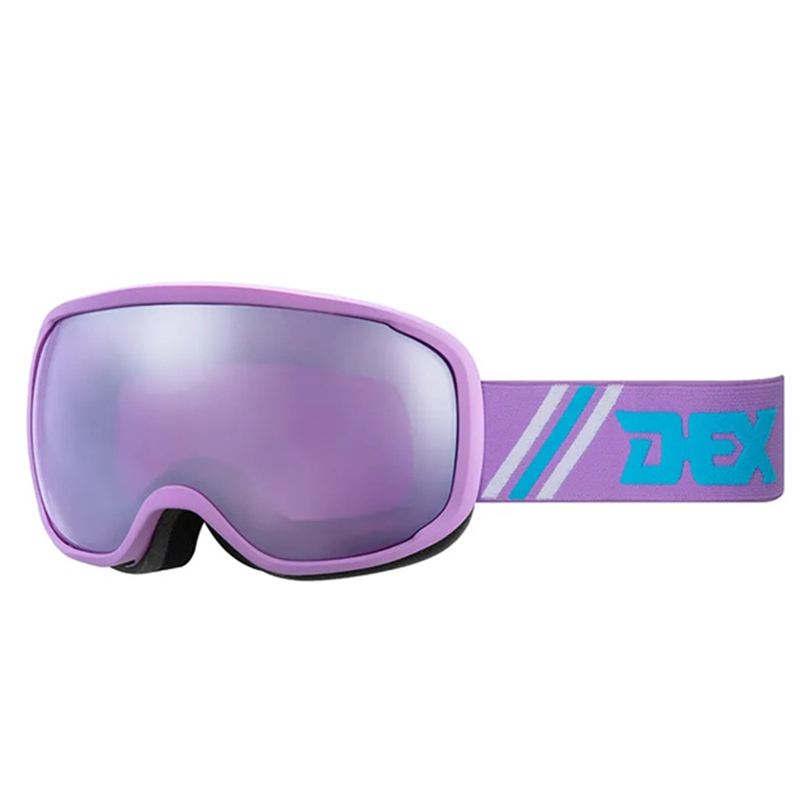 Ski Goggles YH252