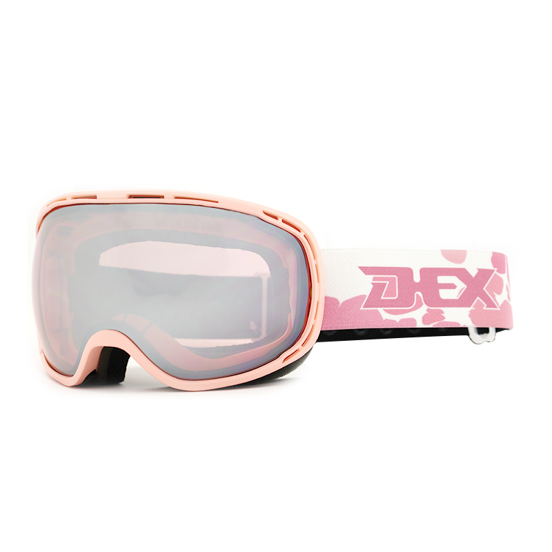 Ski Goggles YH253