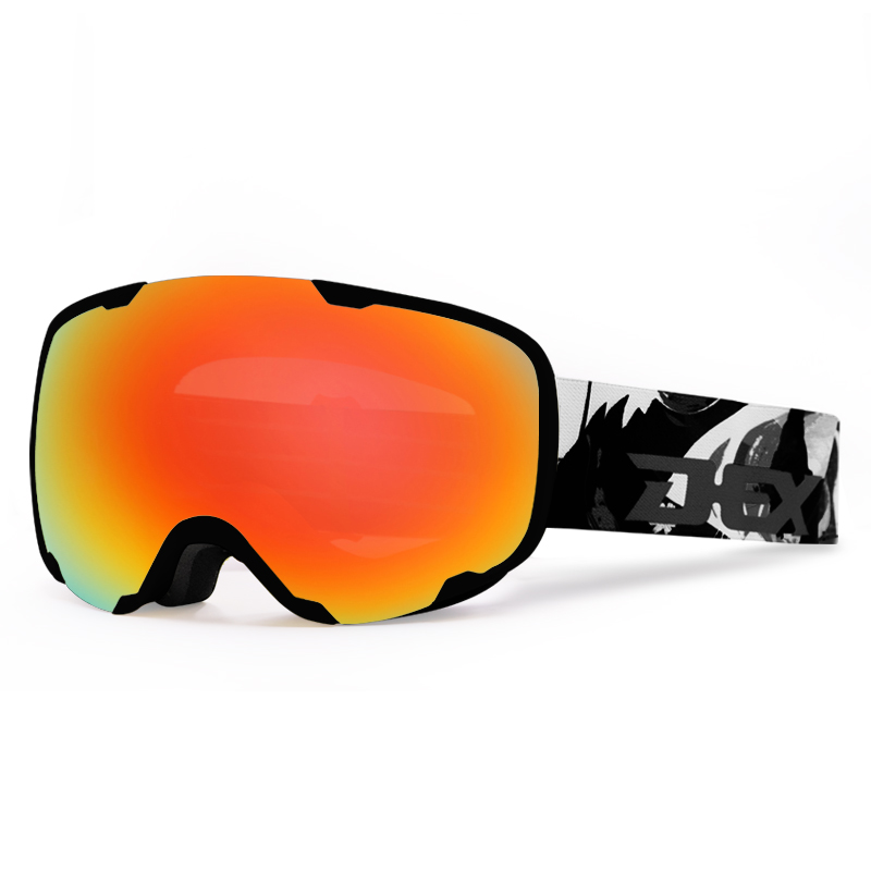 Ski Goggles YH265