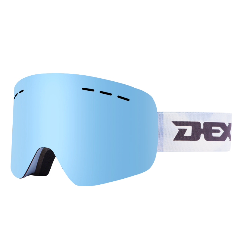 Ski Goggles YH278