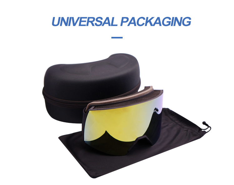 Ski Goggles YH289(图10)