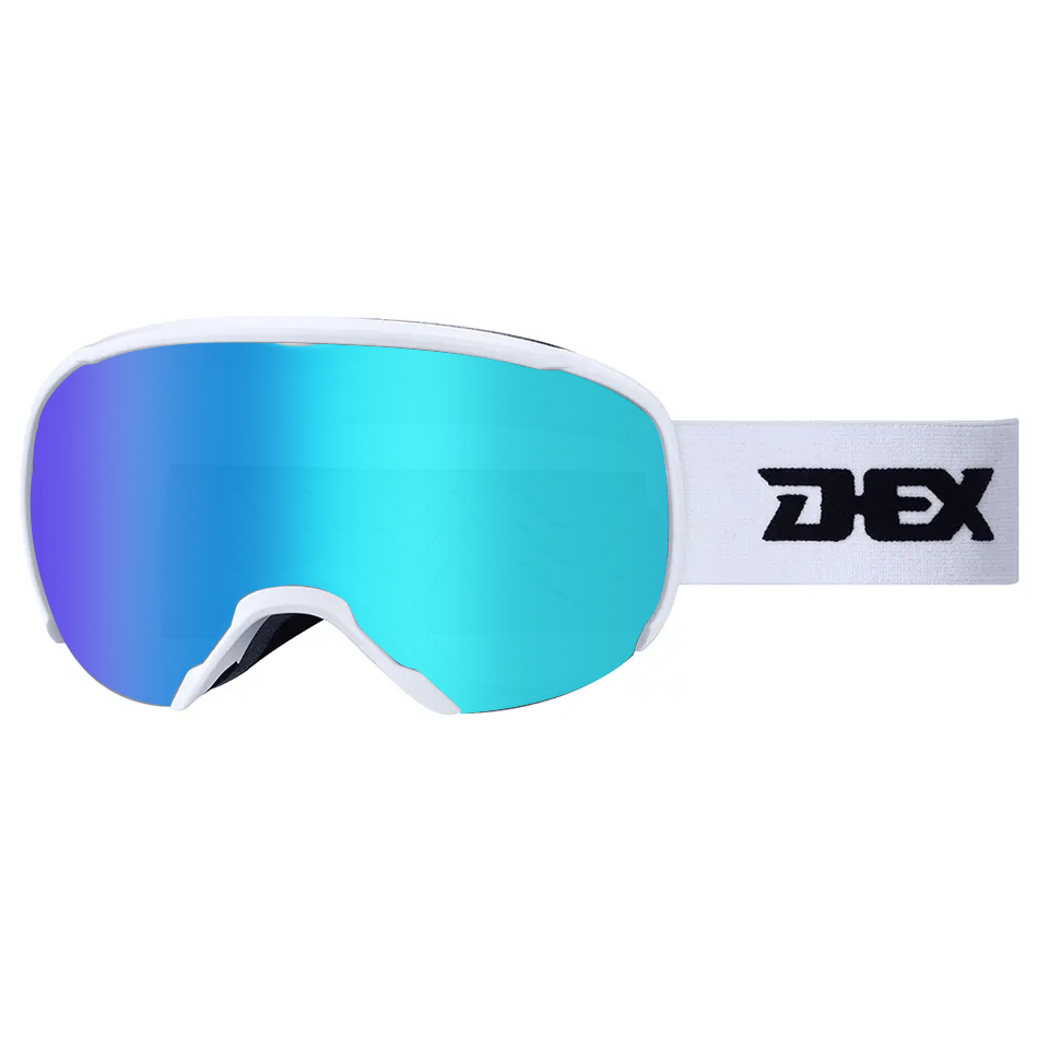 Ski Goggles YH291