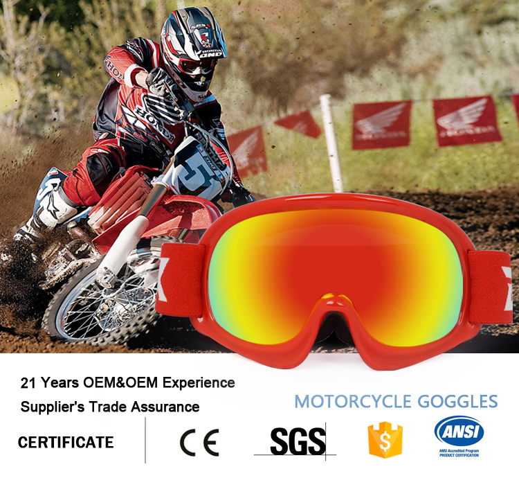 Motorcycle Goggles YH0(图2)