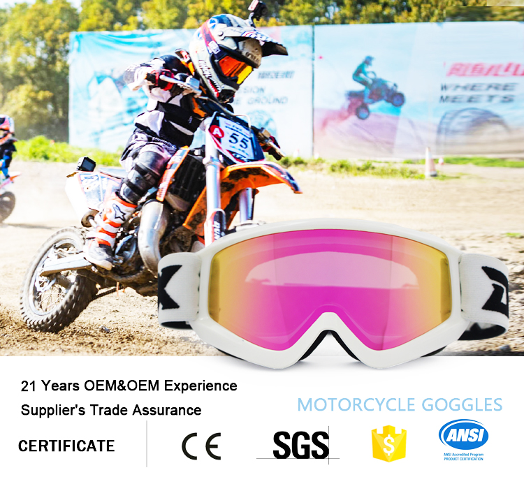 Motorcycle Goggles YH85 （Kids）(图1)