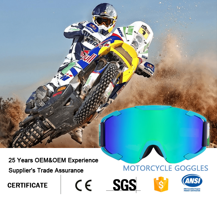 Motorcycle Goggles YH90(图1)