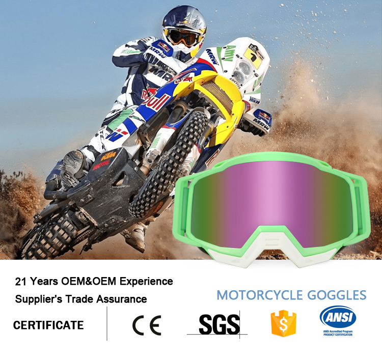 Motorcycle Goggles YH191(图1)