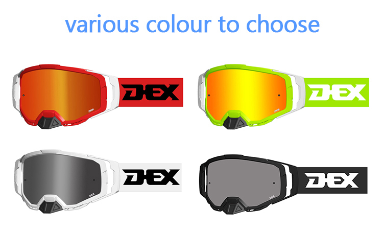 Motorcycle Goggles YH221(图9)