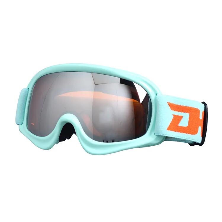 Ski Goggles YH15